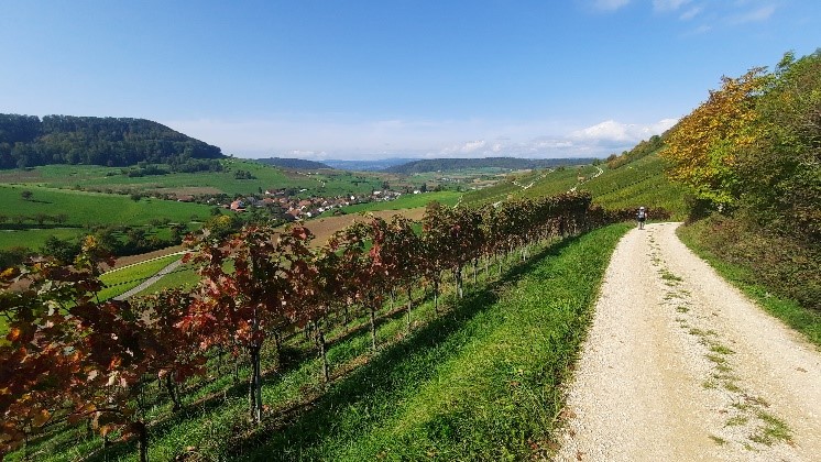 Verschiebung (8.3.2023) und Einladung (15.3.2023): Flösserweg 1 ...