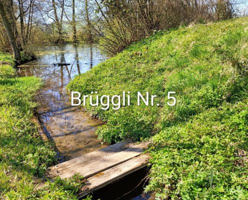 Brueggliweg (10)
