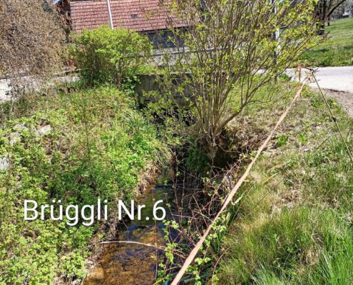 Brueggliweg (11)
