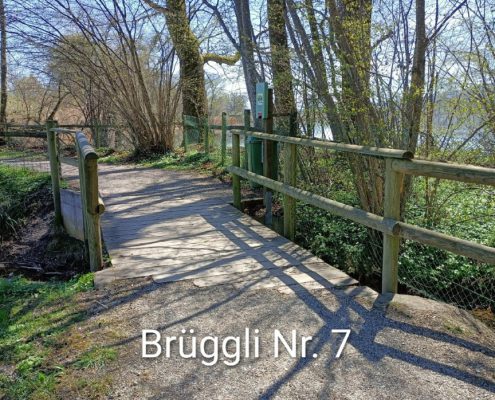 Brueggliweg (12)