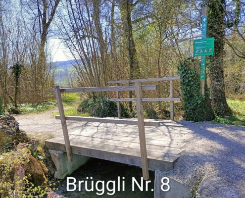 Brueggliweg (13)