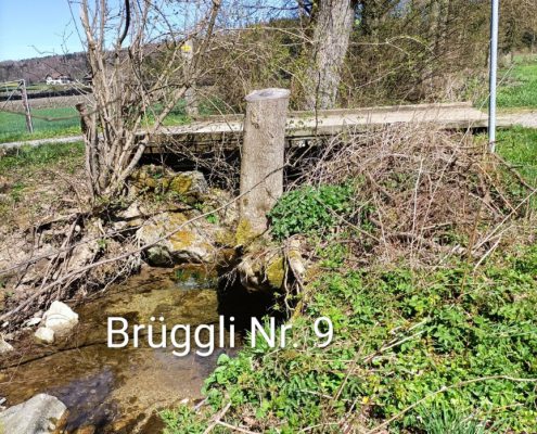 Brueggliweg (14)