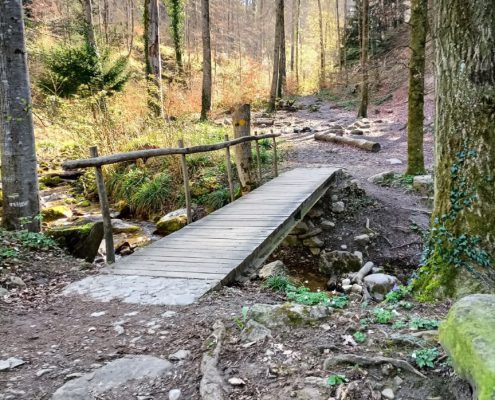 Brueggliweg (2)