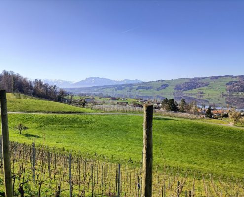 Brueggliweg (3)