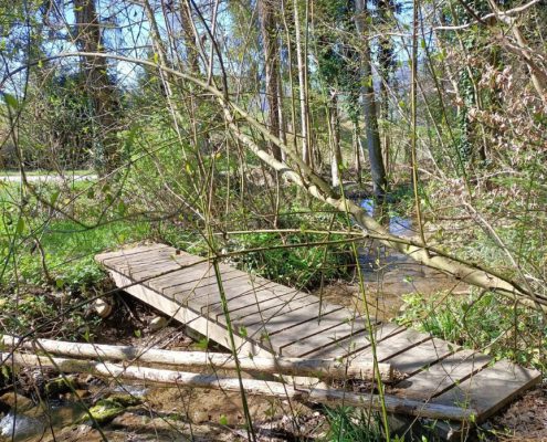 Brueggliweg (4)