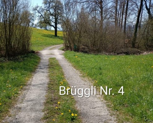Brueggliweg (7)