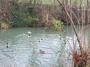 Tourenbericht_Bild_2