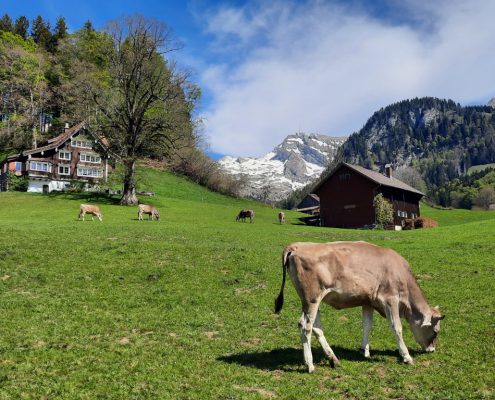20260427_114430 (Mittel)