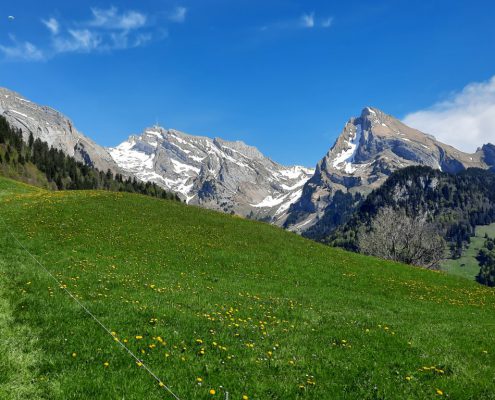 20260427_122658 (Mittel)